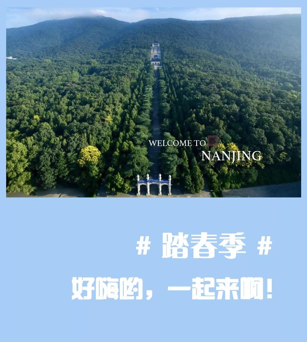 安排上了，南京新華邀你共赴免費(fèi)體驗(yàn)營(yíng)