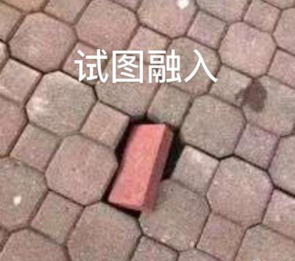 新華互聯網科技正式入駐Bilibili！會摩擦出什么樣火花呢？