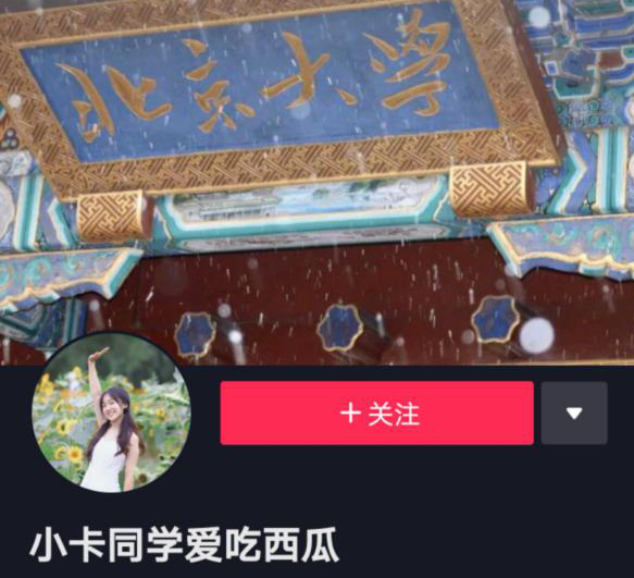 將興趣做到極致，北大小姐姐的優秀你也可以復制